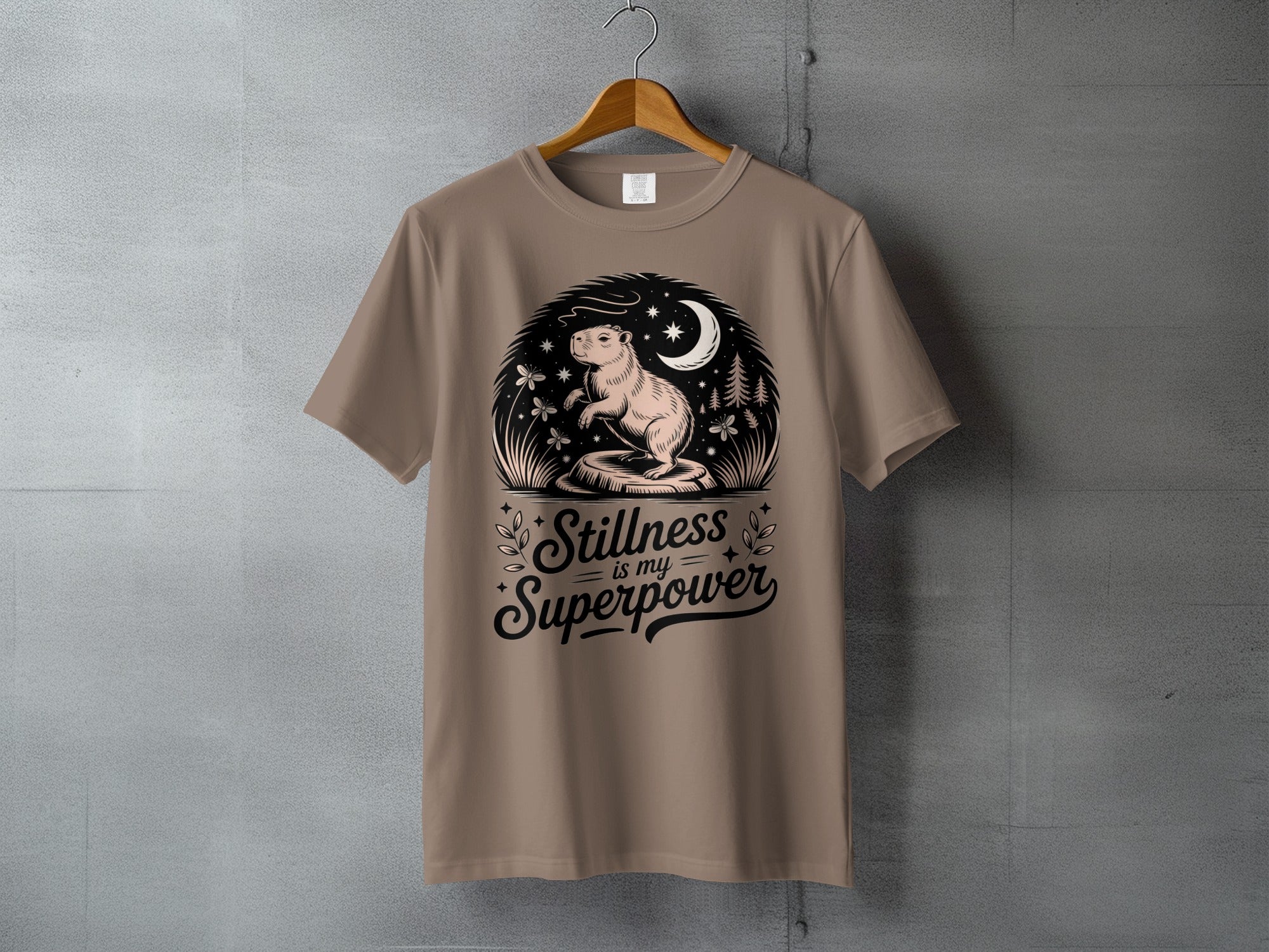 Stillness is my Superpower Capybara Moon Stars product type