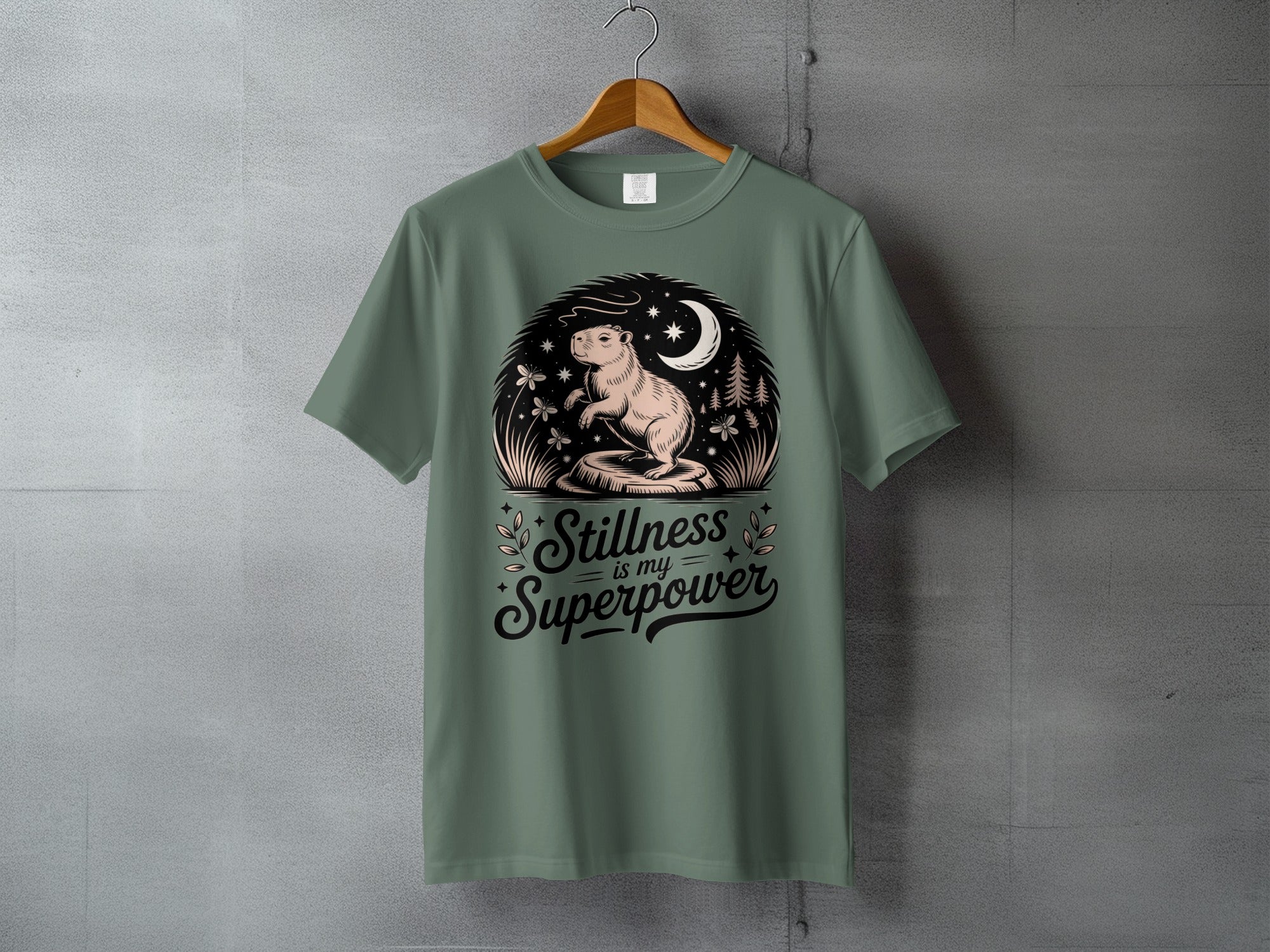 Stillness is my Superpower Capybara Night Scene product type