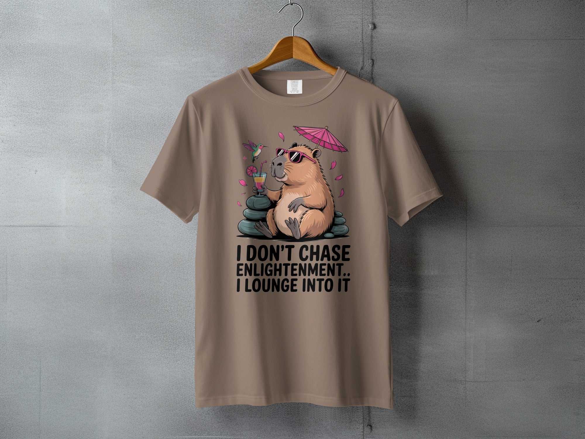 Capybara I dont chase enlightenment I lounge into it product type