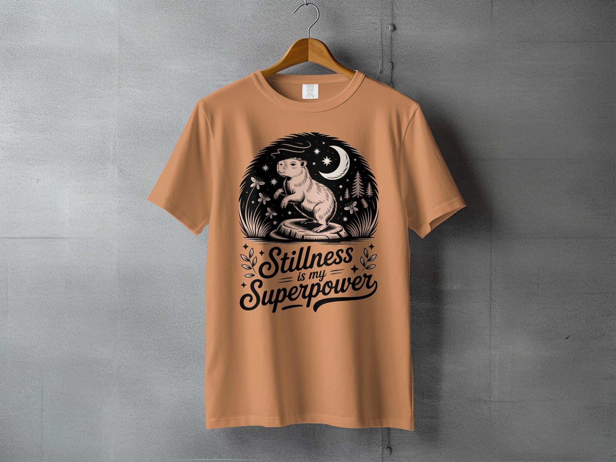 Capybara Moon Stars Stillness is my Superpower t-shirt product type