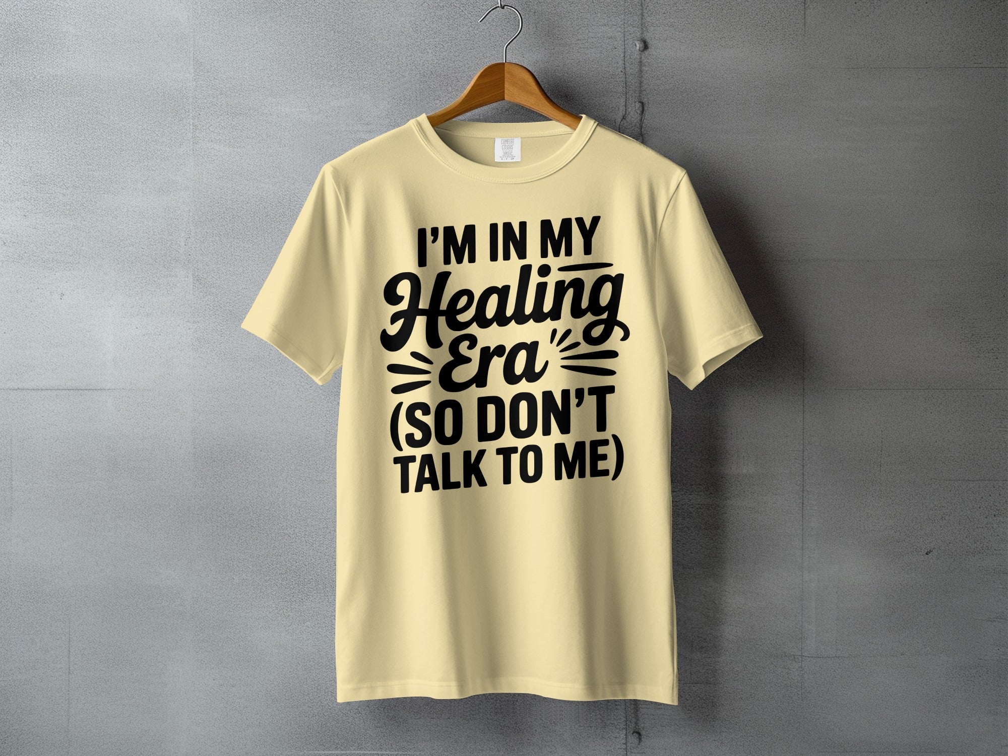 I'M IN MY Healing Era SO DON'T TALK TO ME product type