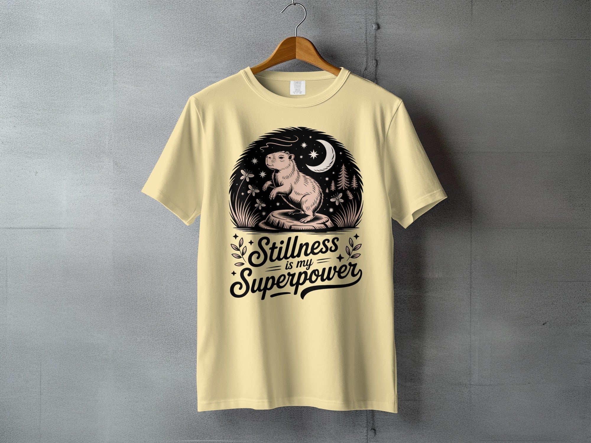 Capybara Moon Stars Stillness is my Superpower T-shirt
